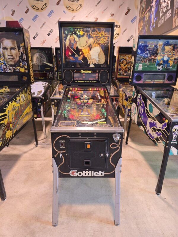 CUE BALL WIZARD GOTTLIEB PINBALL FLIPPER (T2201)