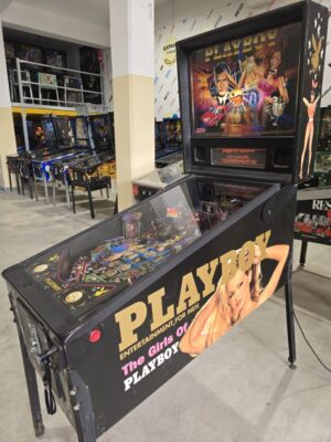 PLAYBOY STERN PINBALL FLIPPER (P2247)