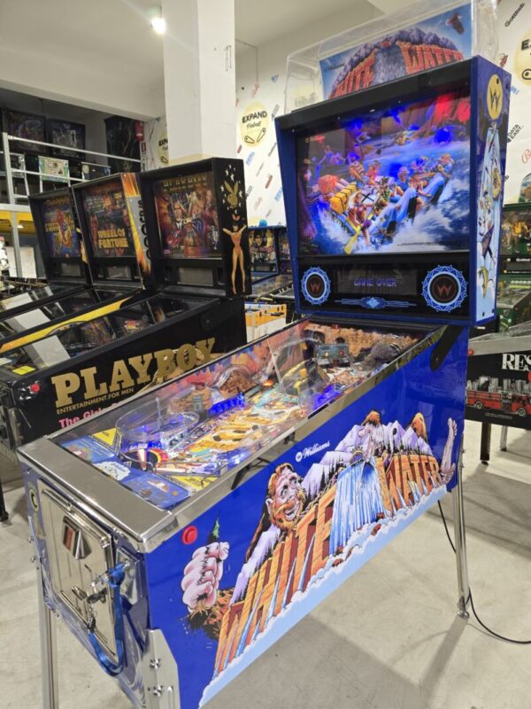 WHITE WATER WILLIAMS PINBALL FLIPPER (P2257)