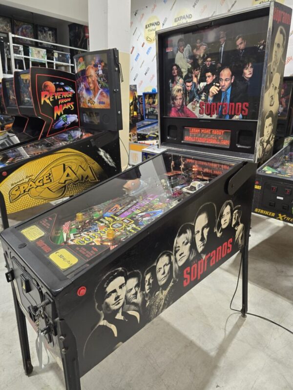 SOPRANOS STERN PINBALL FLIPPER (P2269)